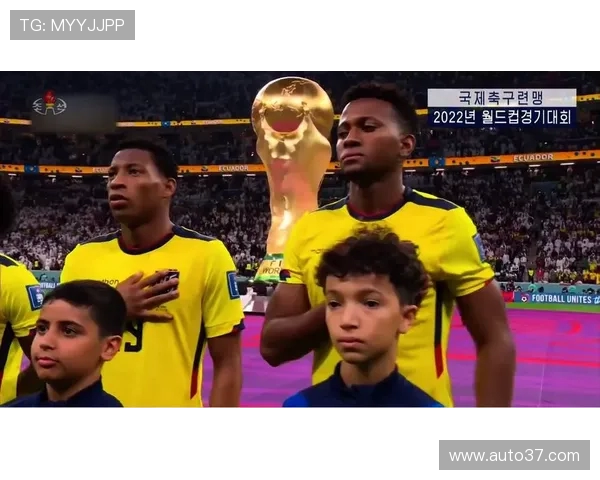 世界杯期间针对网络盗播的版权保护行动赛